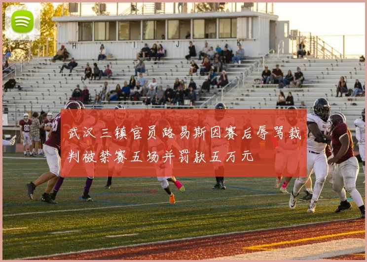 武汉三镇官员路易斯因赛后辱骂裁判被禁赛五场并罚款五万元